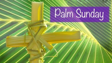 Palm Sunday 2022 Catholic