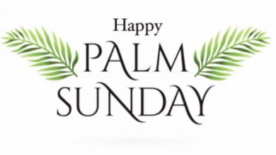 Palm Sunday Imags