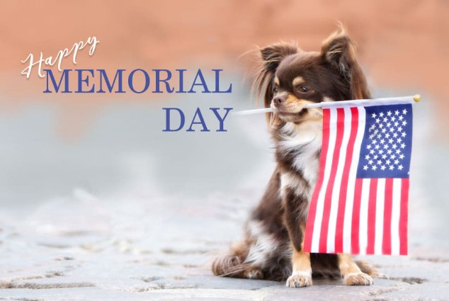 Memorial Day Images 2022