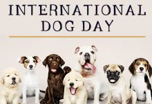 International Dog Day 2022