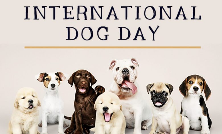 International Dog Day 2022