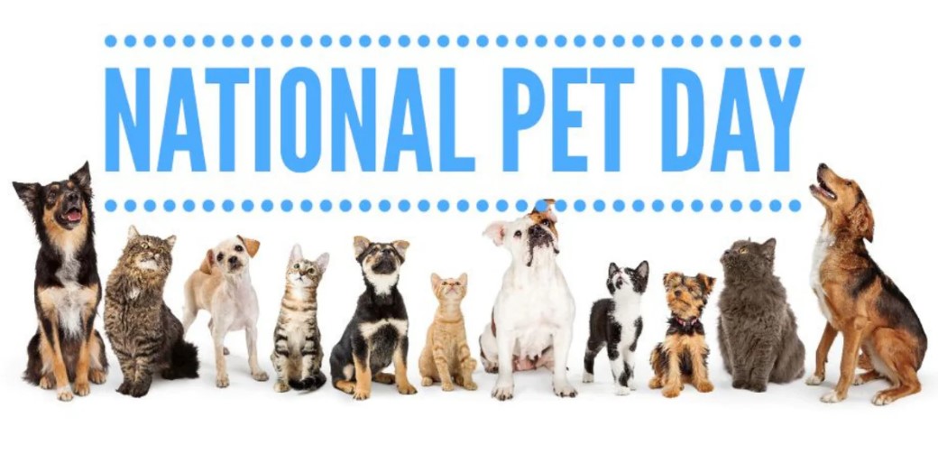 National Pet Day Images